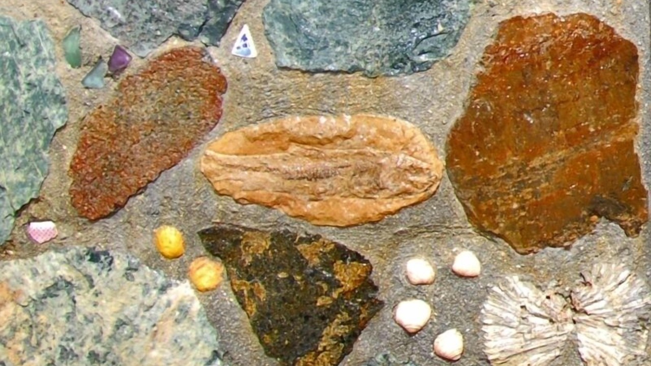 Photo of Outdoor in Maho Bay Quarter