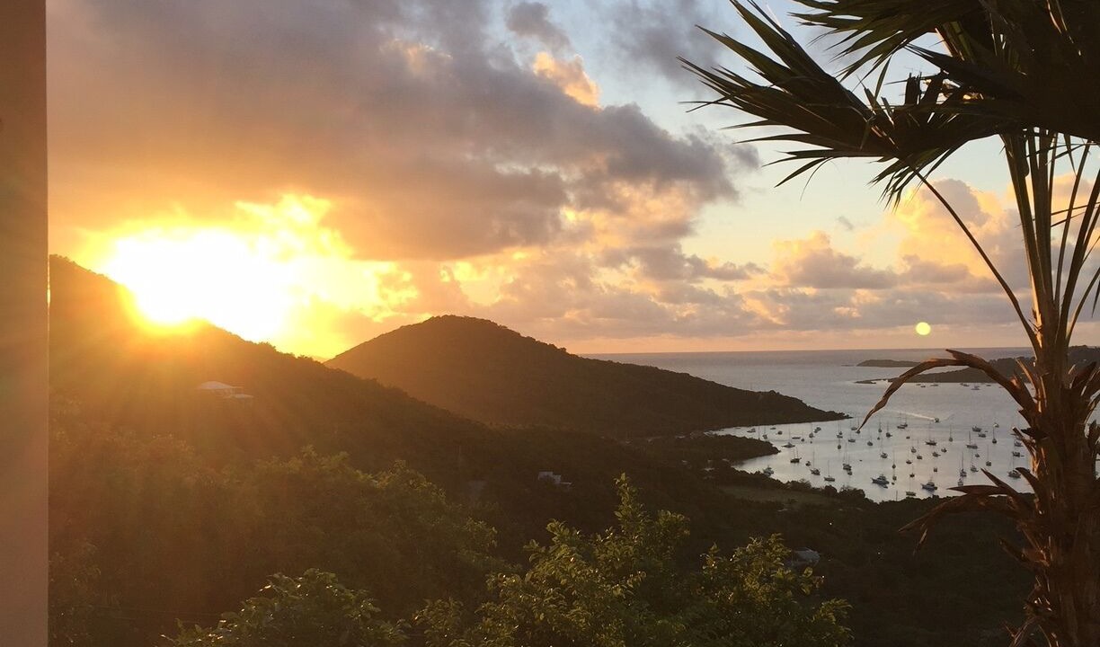 Photo of Others in Maho Bay Quarter