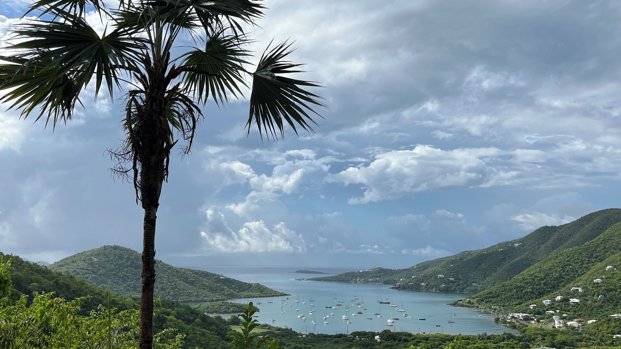 Photo of Others in Maho Bay Quarter