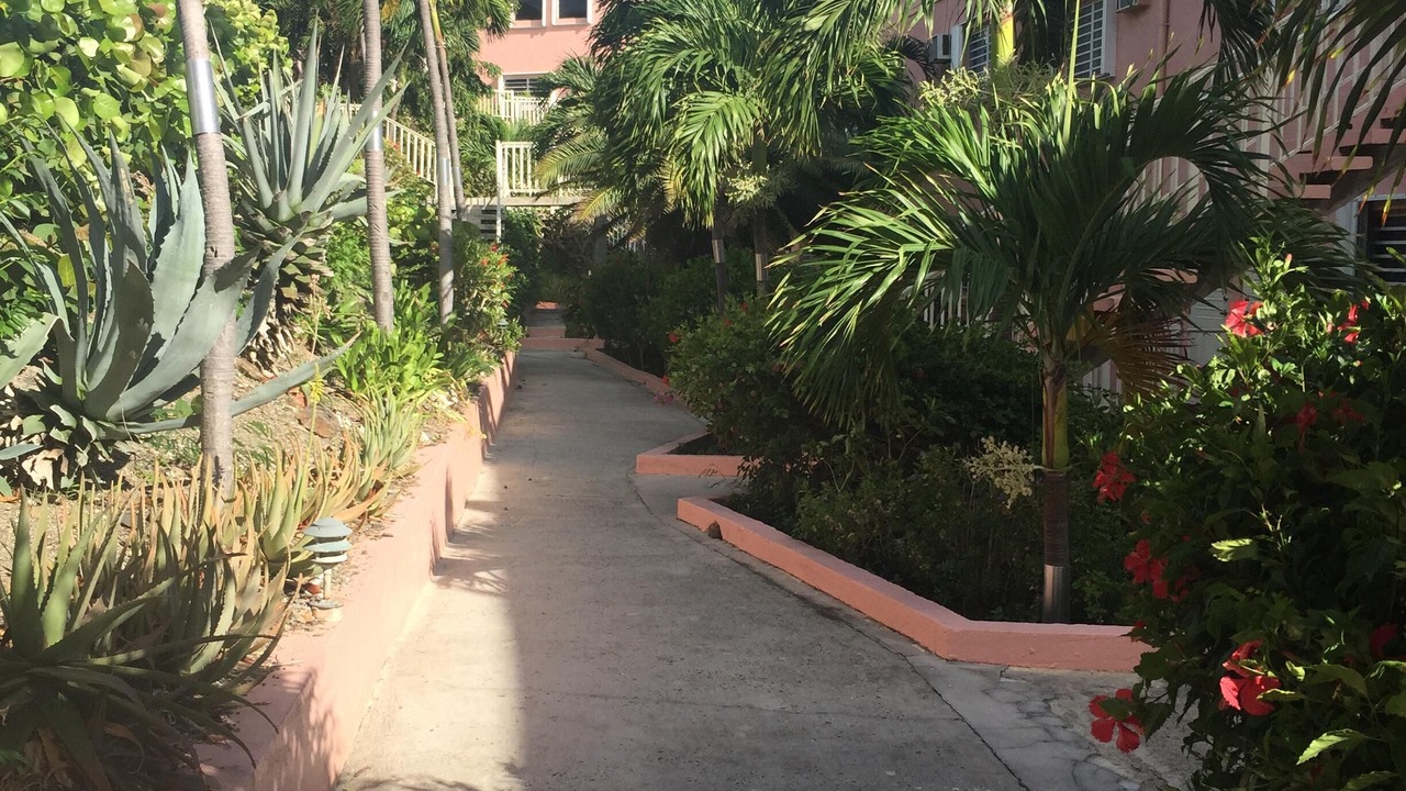 Photo of Outdoor in Cotton Valley