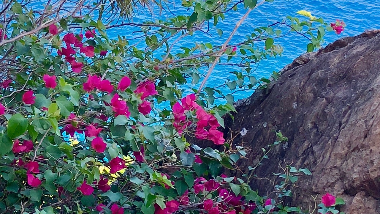 Photo of Outdoor in Peterborg