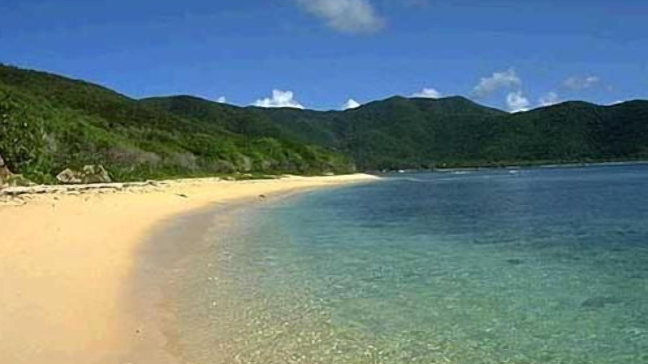 Photo of Others in Fish Bay