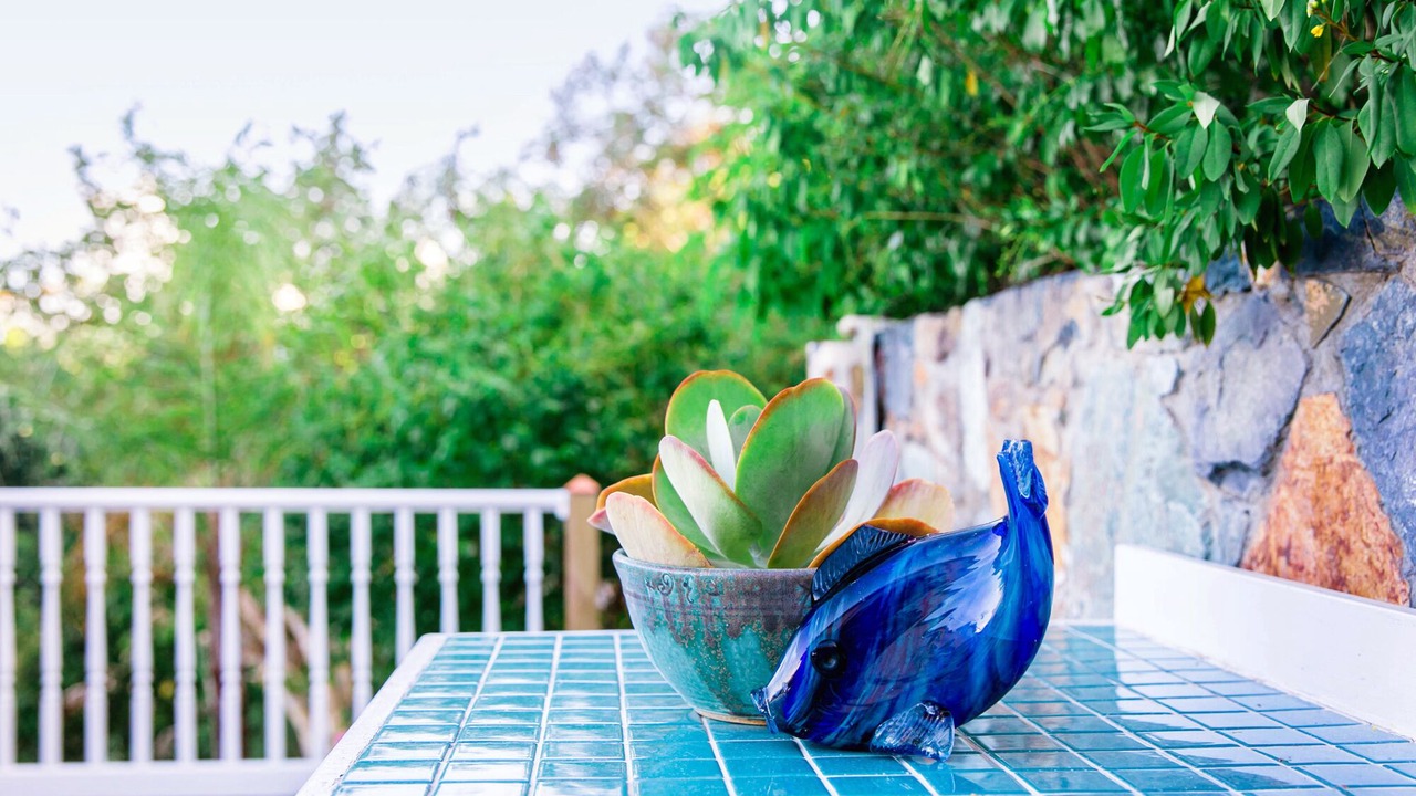 Photo of Outdoor in Estate Fortsberg