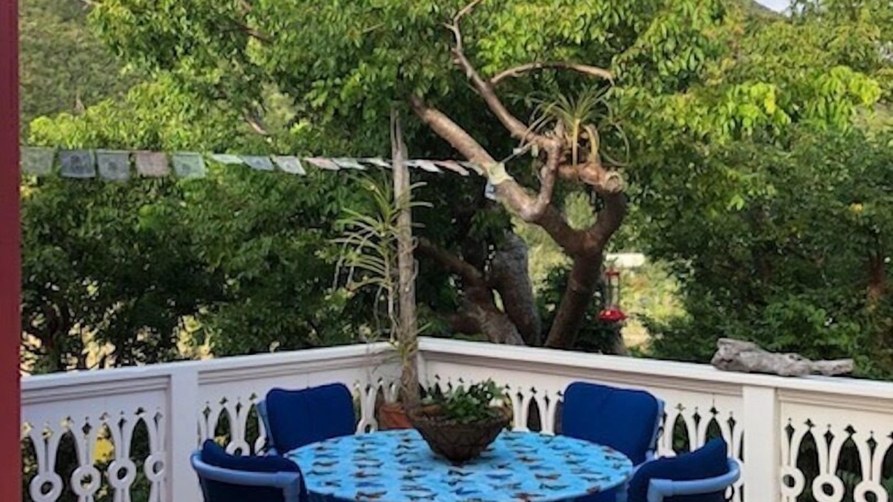 Photo of Outdoor in Estate Mandal