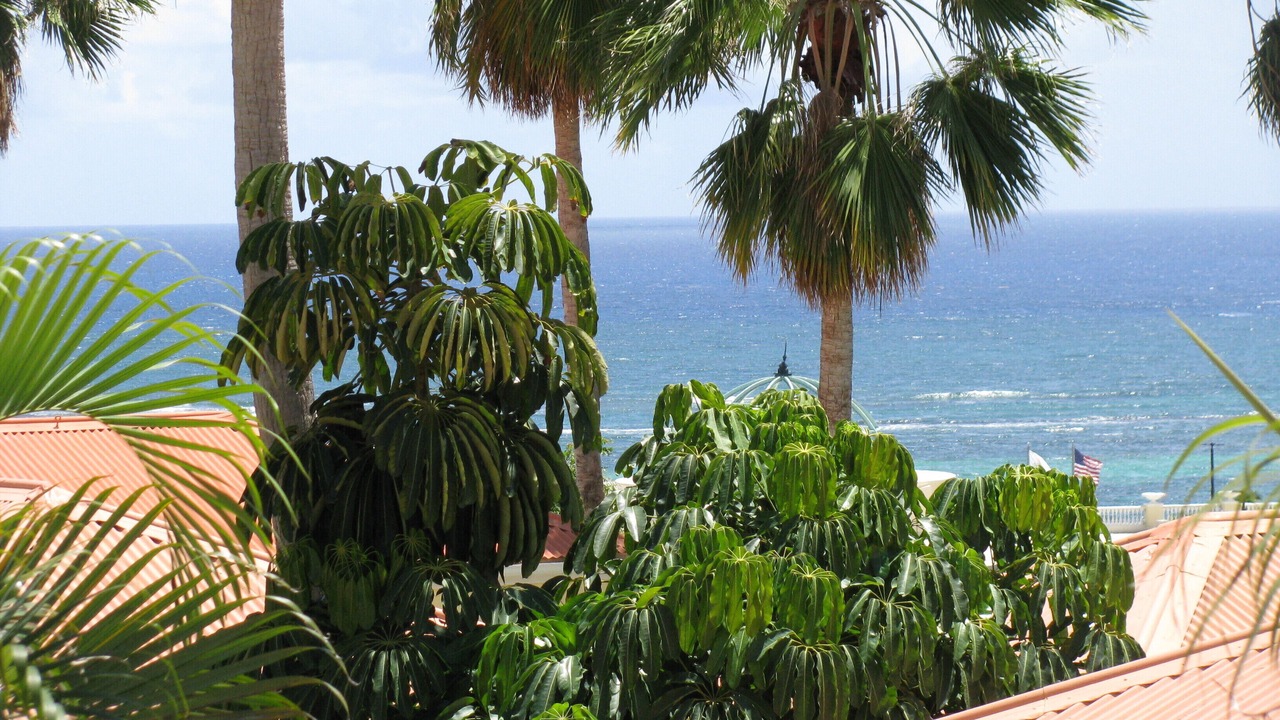 Photo of Outdoor in Slob