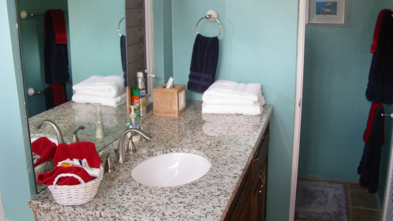 Photo of Bathroom in Estate Teague Bay