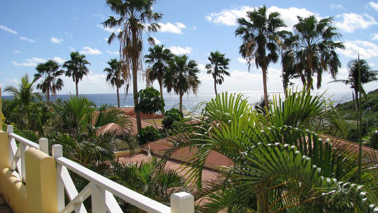 Photo of Outdoor in Slob