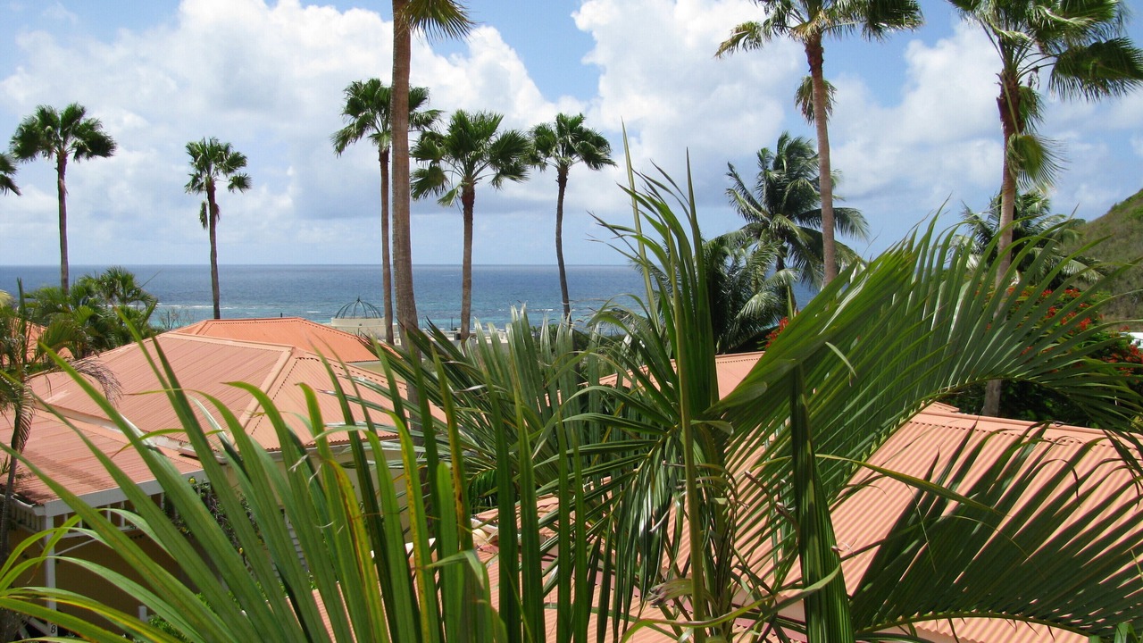 Photo of Outdoor in Slob