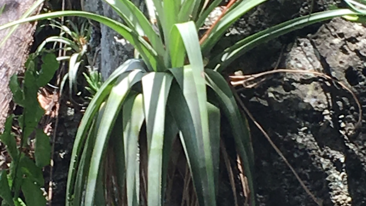 Photo of Outdoor in Estate Enighed