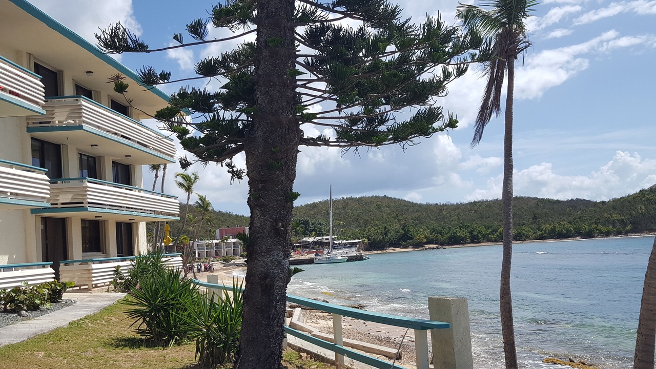 Photo of Outdoor in Bolongo Bay