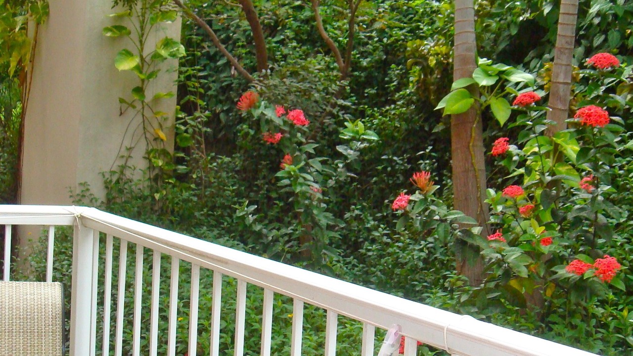 Photo of Patio Balcony in Estate Enighed