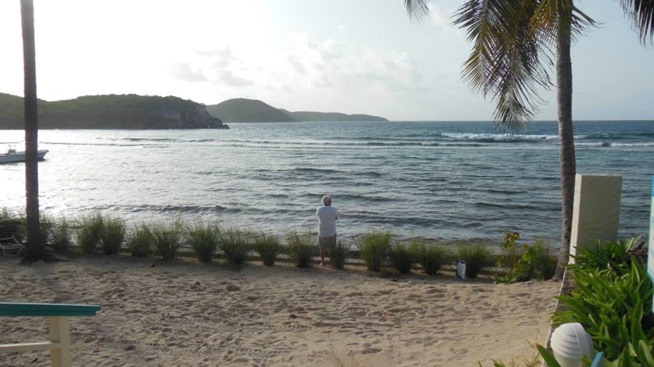 Photo of Others in Bolongo Bay