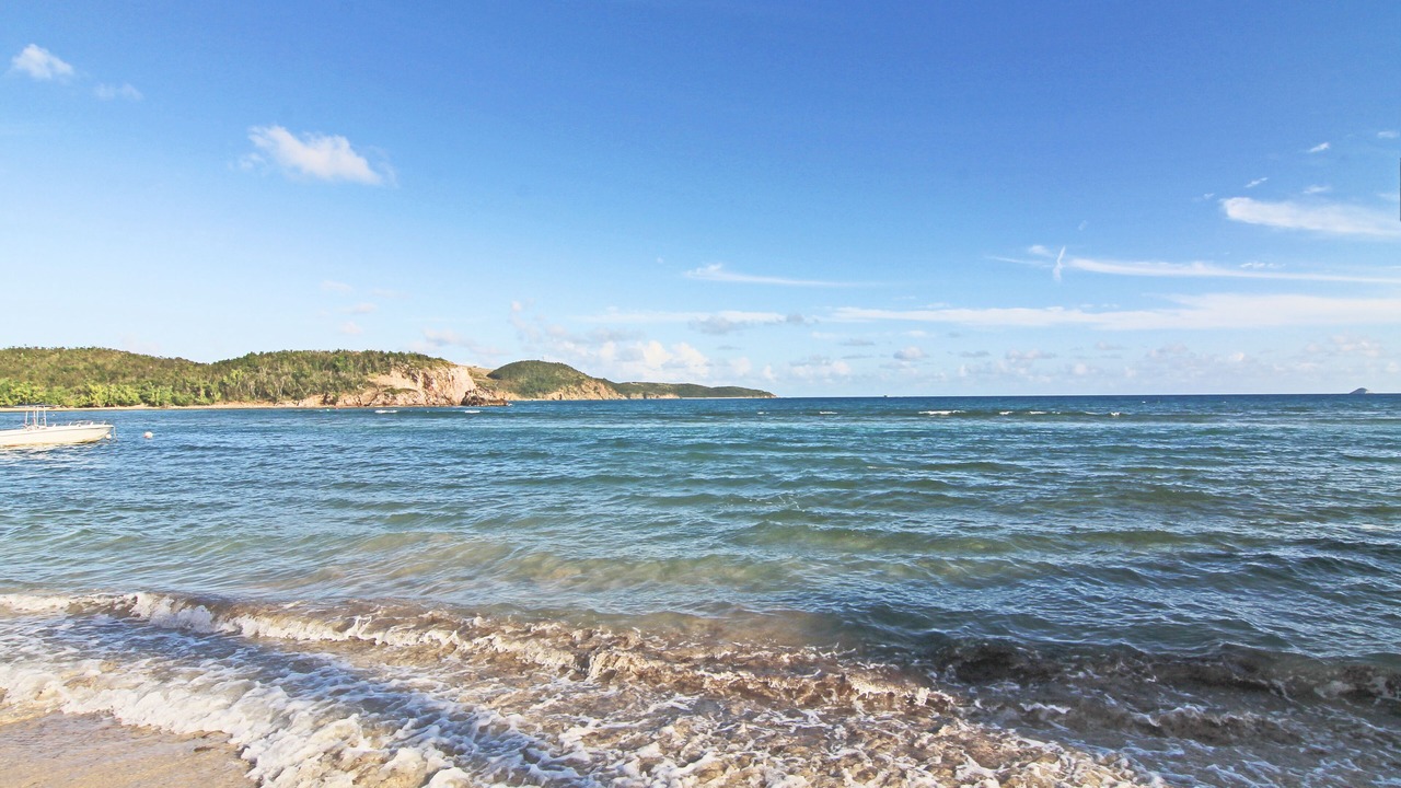 Photo of Others in Bolongo Bay