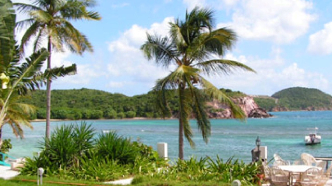 Photo of Others in Bolongo Bay