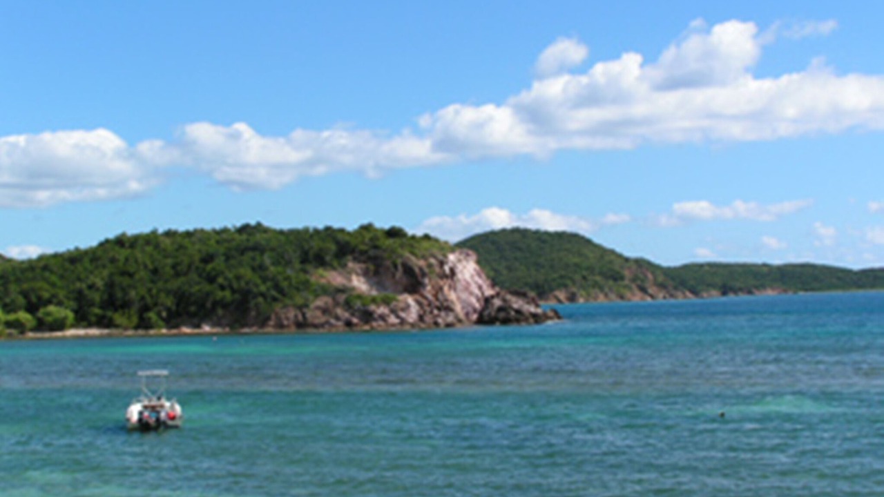 Photo of Others in Bolongo Bay