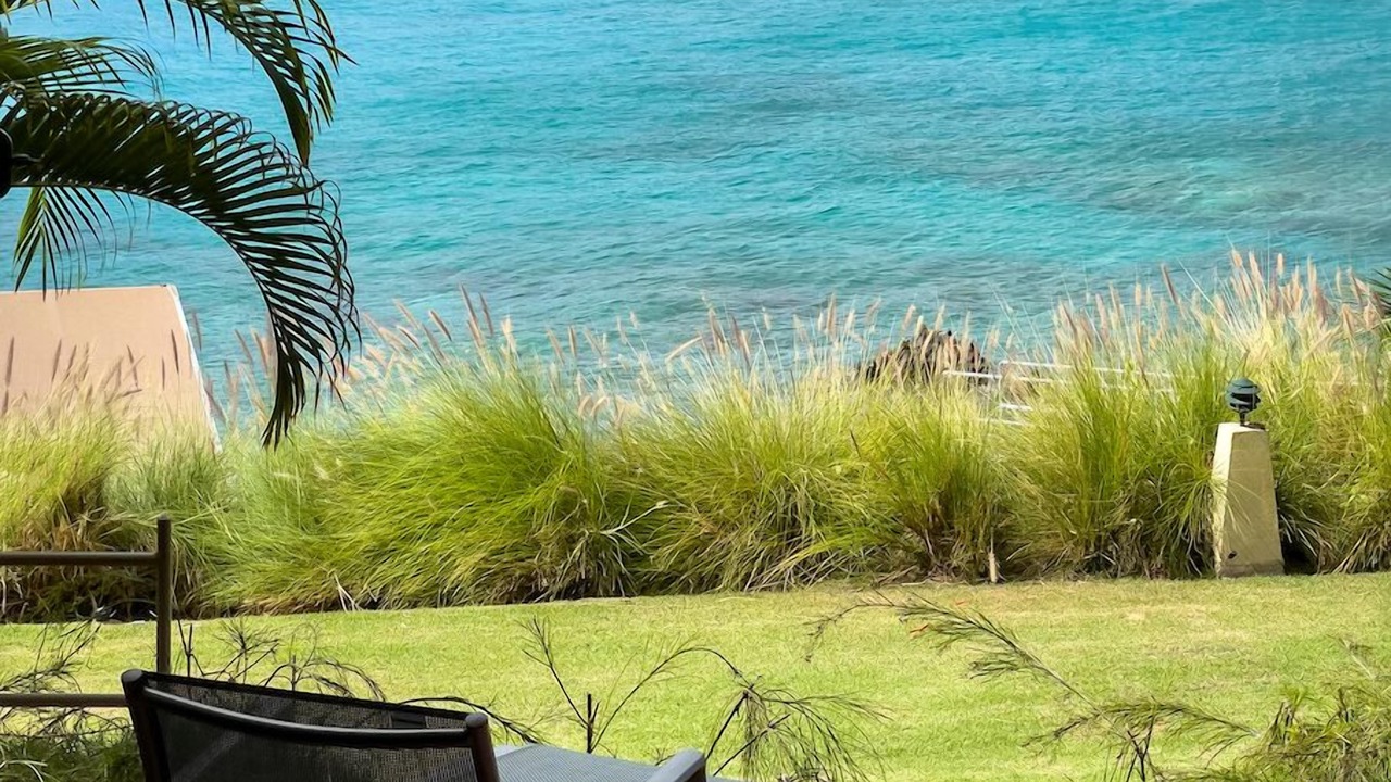 Photo of Outdoor in Estate Enighed