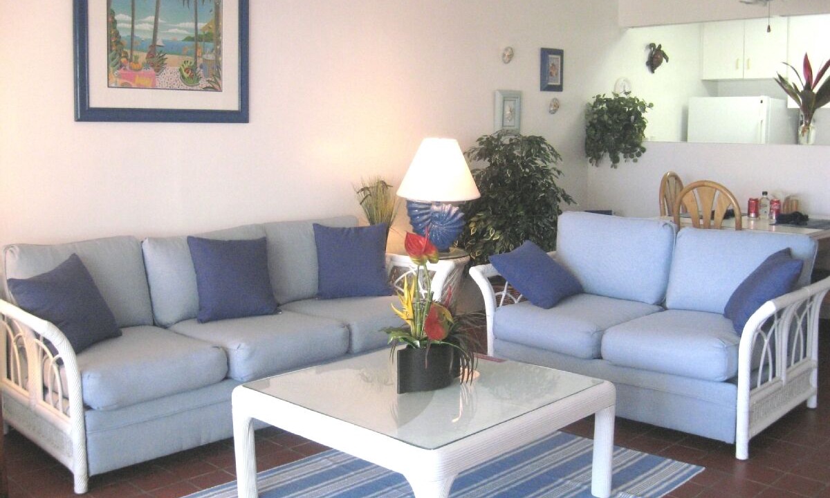 Photo of Livingroom in Red Hook