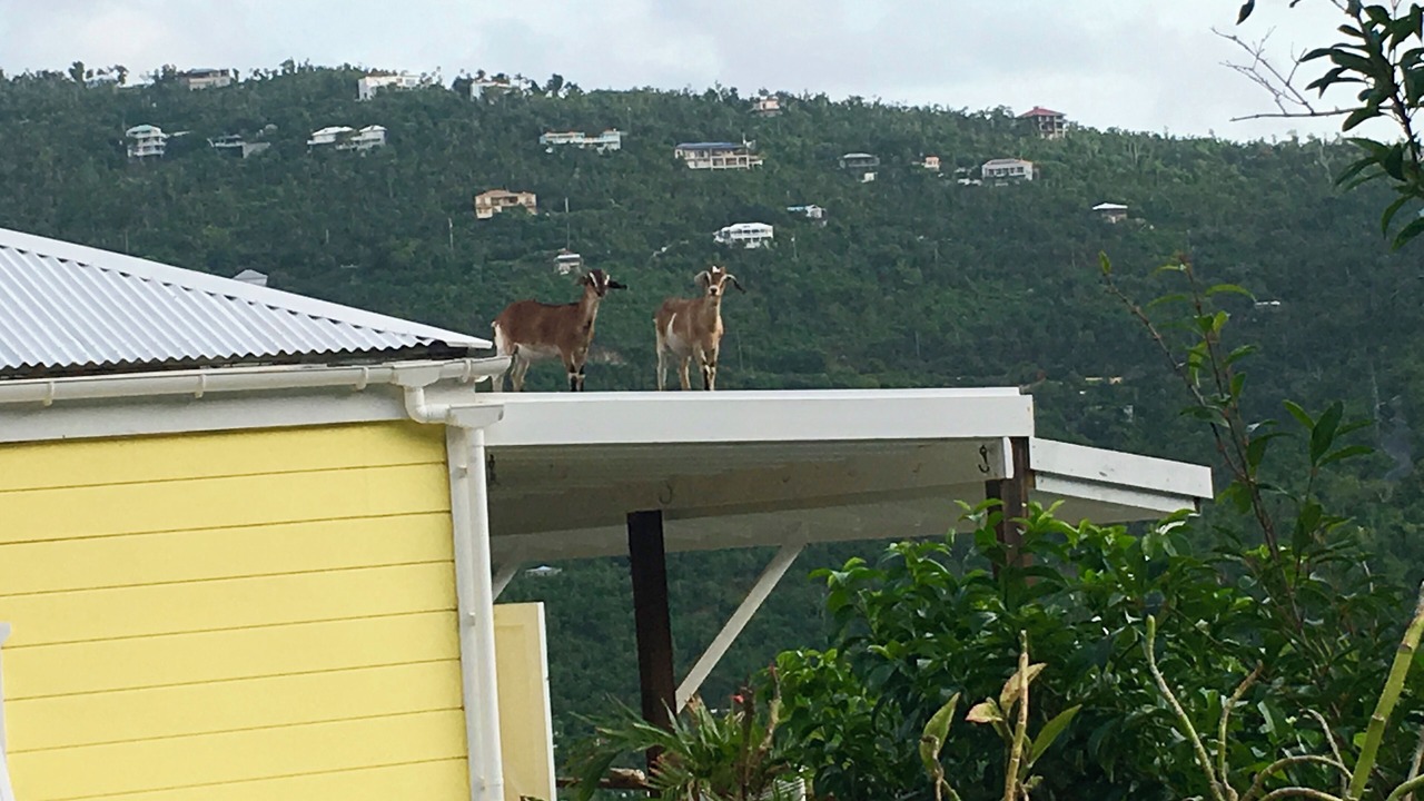 Photo of Outdoor in Lower Carolina