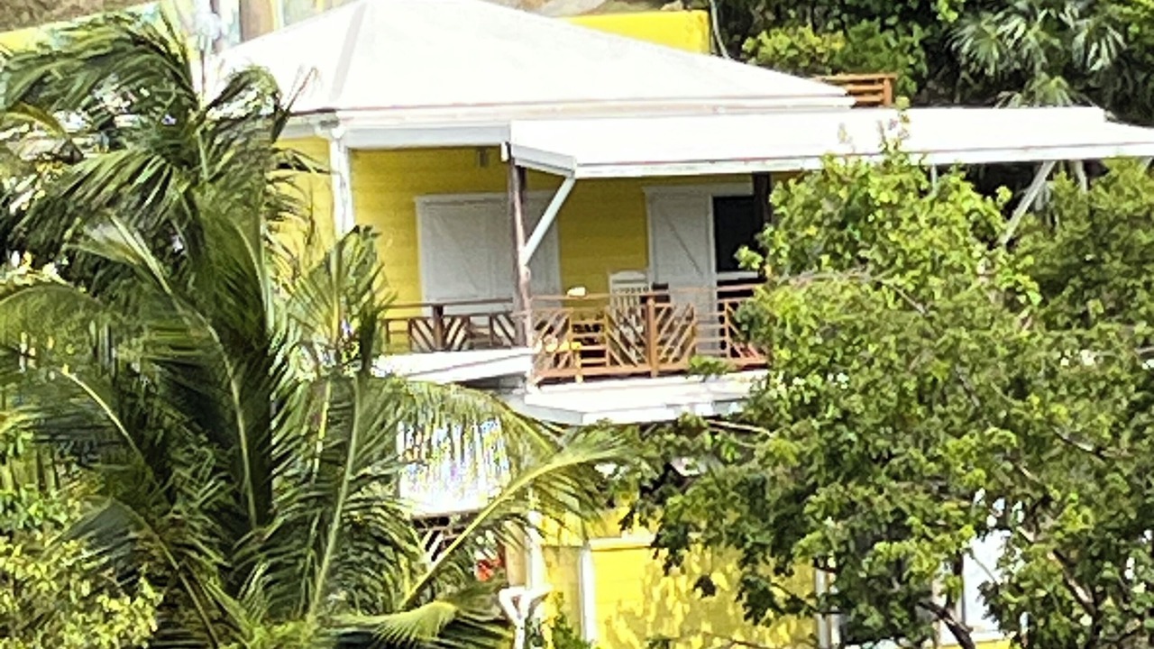 Photo of Outdoor in Lower Carolina