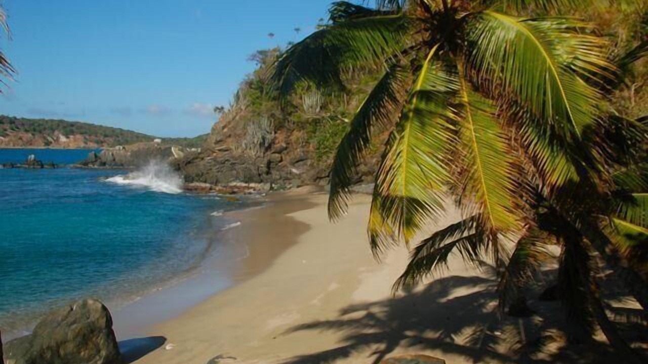 Photo of Others in Estate Caret Bay
