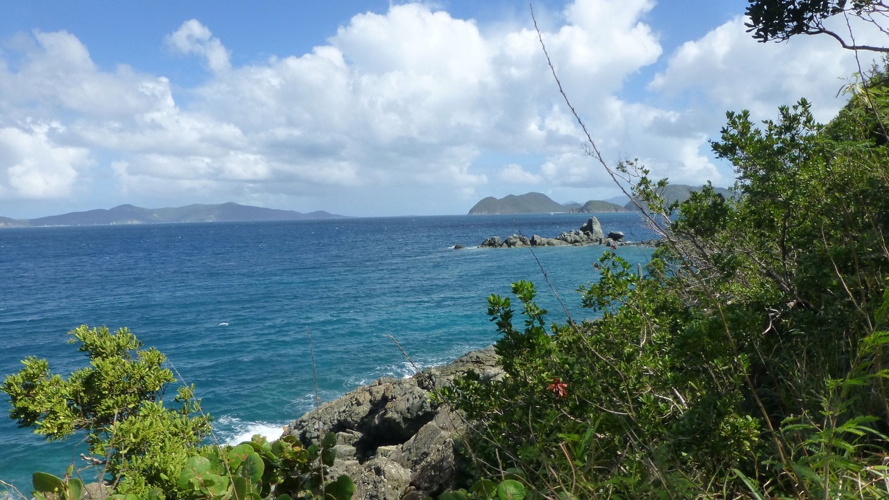Photo of Others in Great Cruz Bay