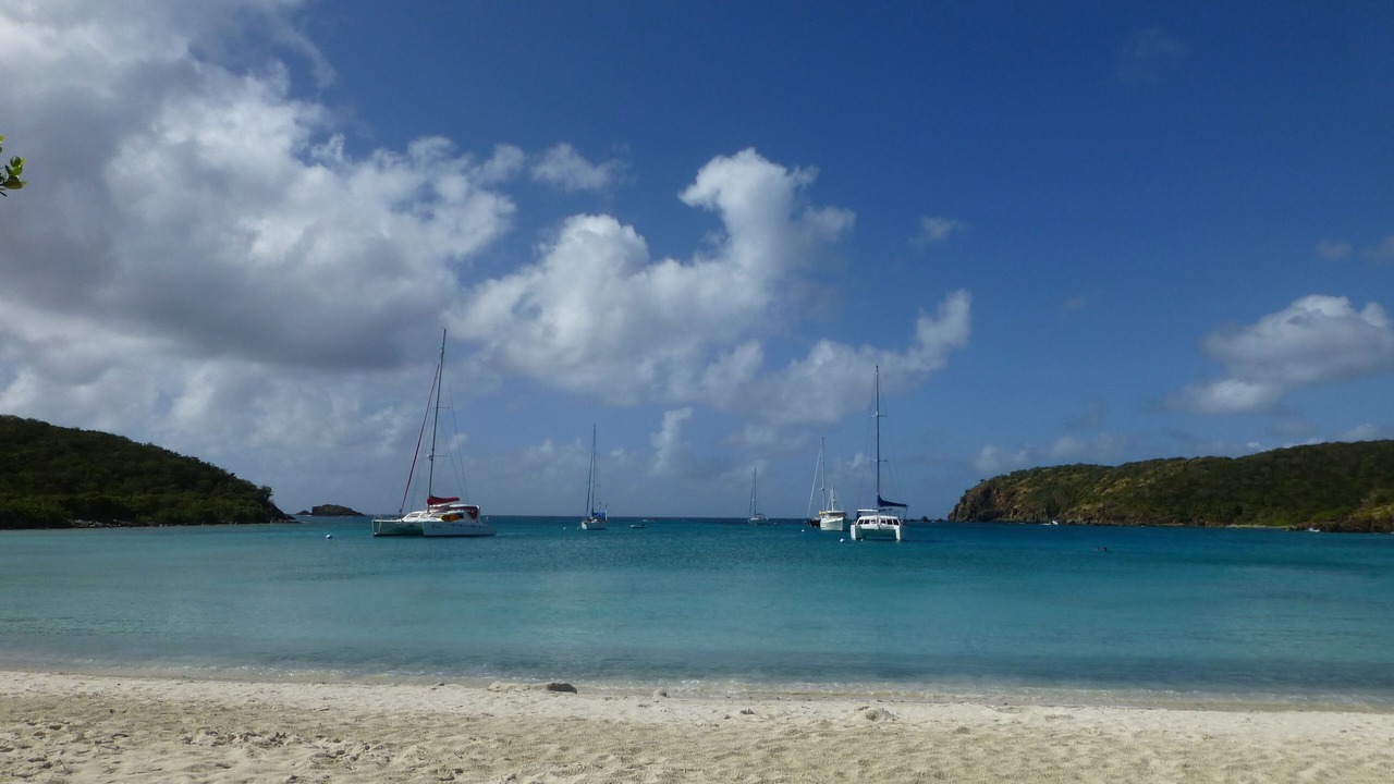 Photo of Others in Great Cruz Bay