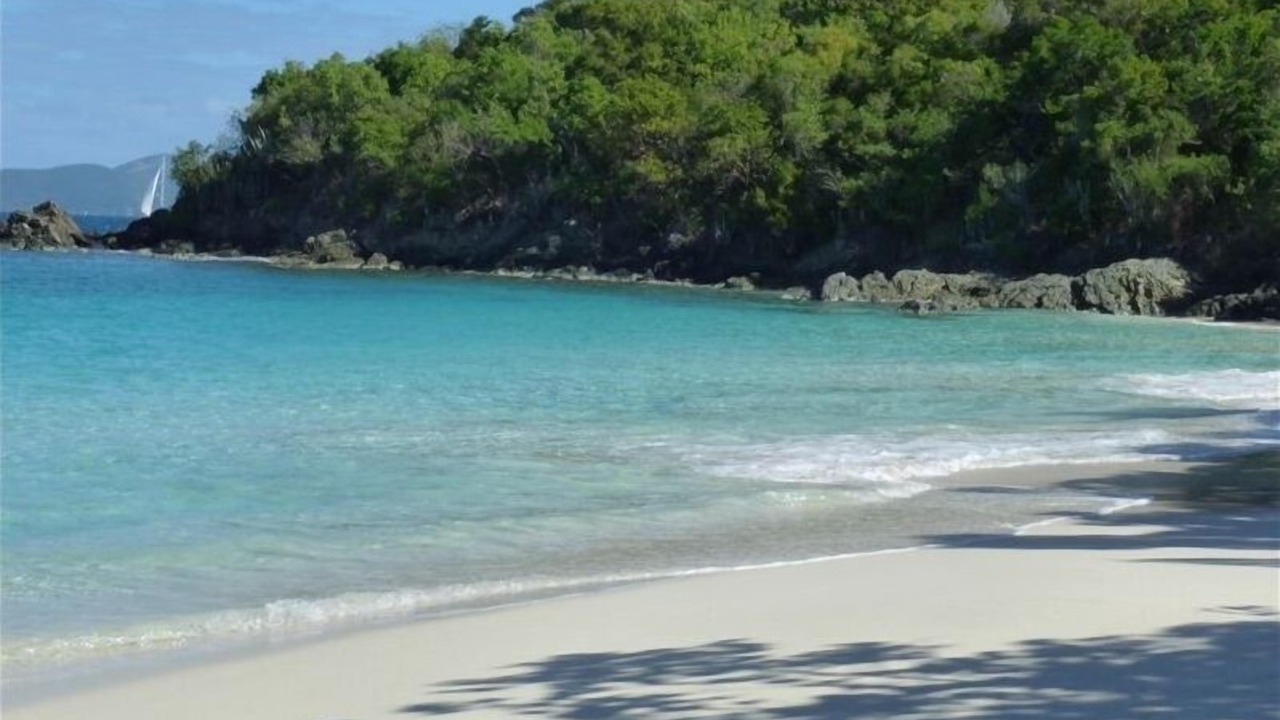 Photo of Others in Great Cruz Bay