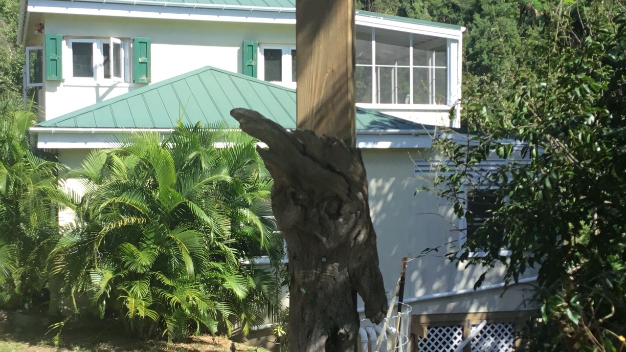 Photo of Outdoor in Upper Carolina