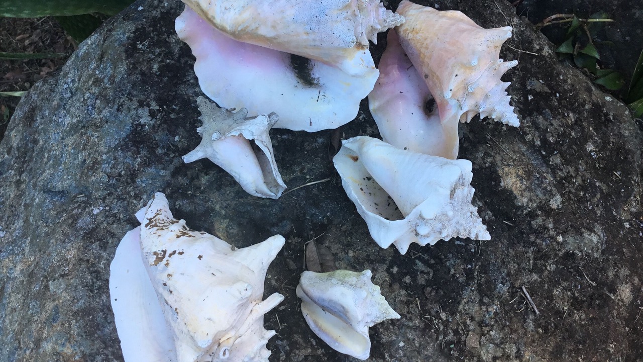Photo of Outdoor in Upper Carolina