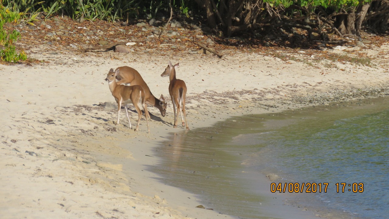 Photo of Others in Fish Bay