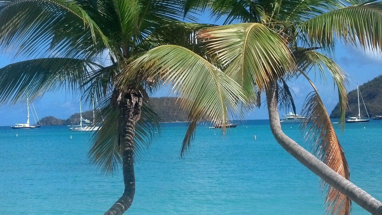 Photo of Others in Fish Bay