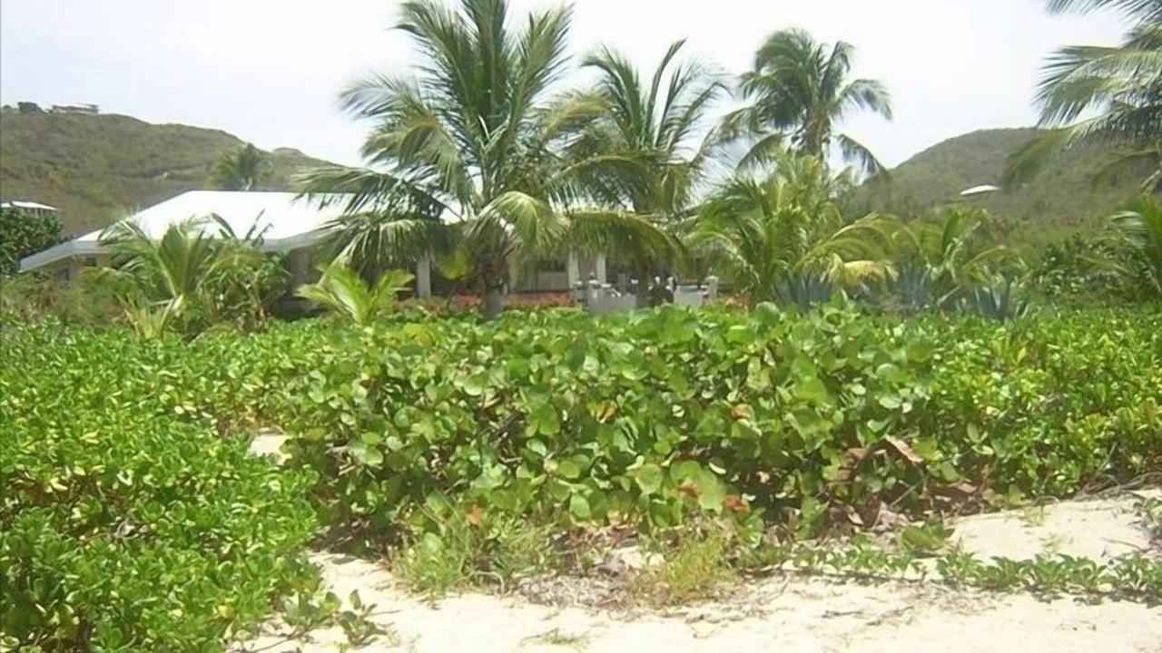 Photo of Others in Grapetree