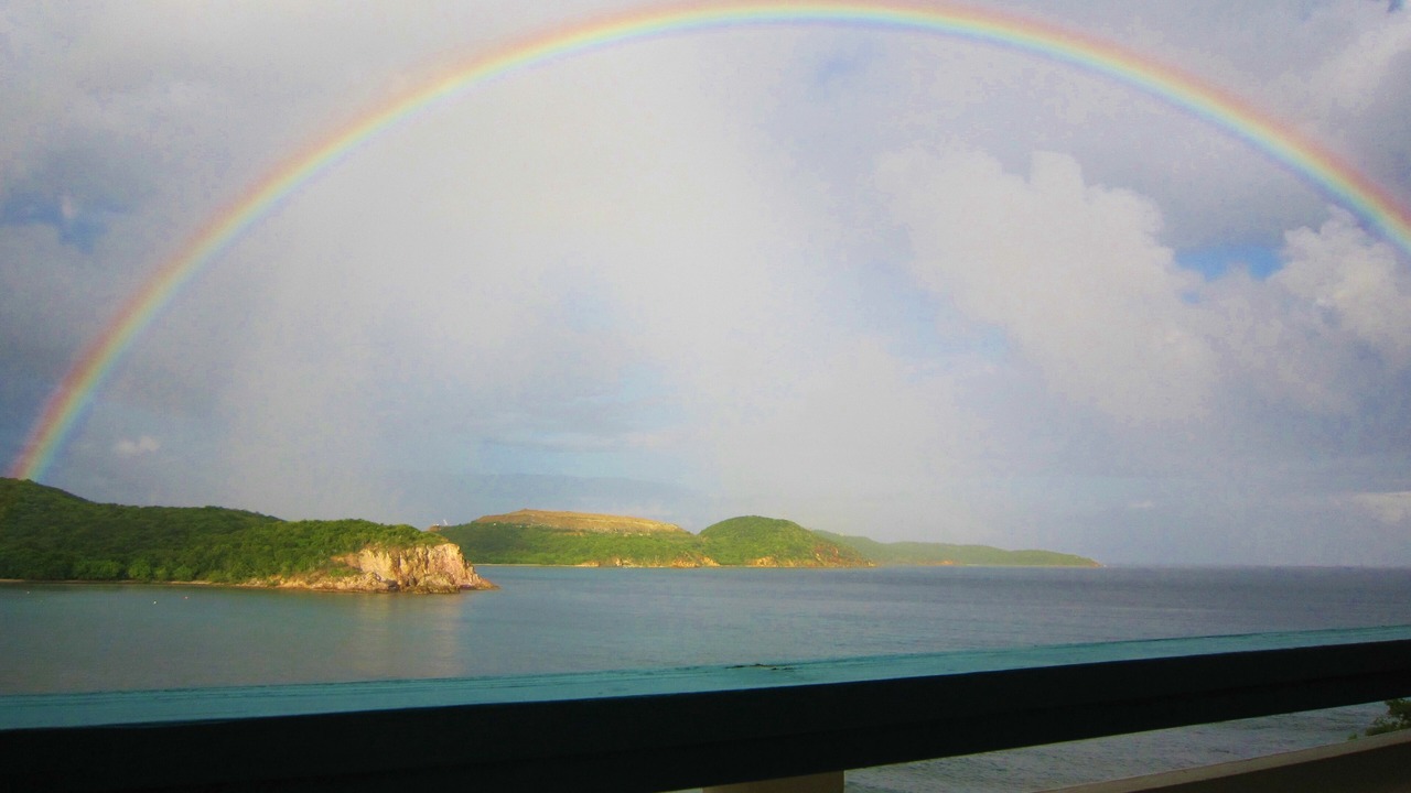 Photo of Others in Bolongo Bay