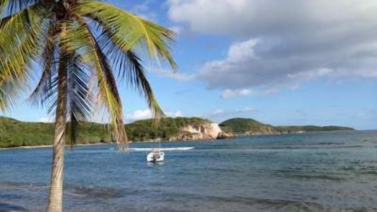 Photo of Others in Bolongo Bay