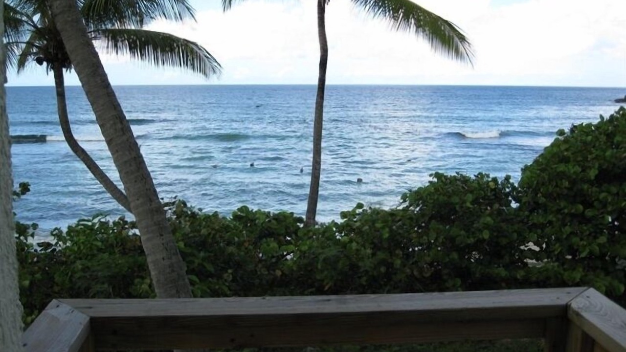 Photo of Patio Balcony in Estate Dorothea