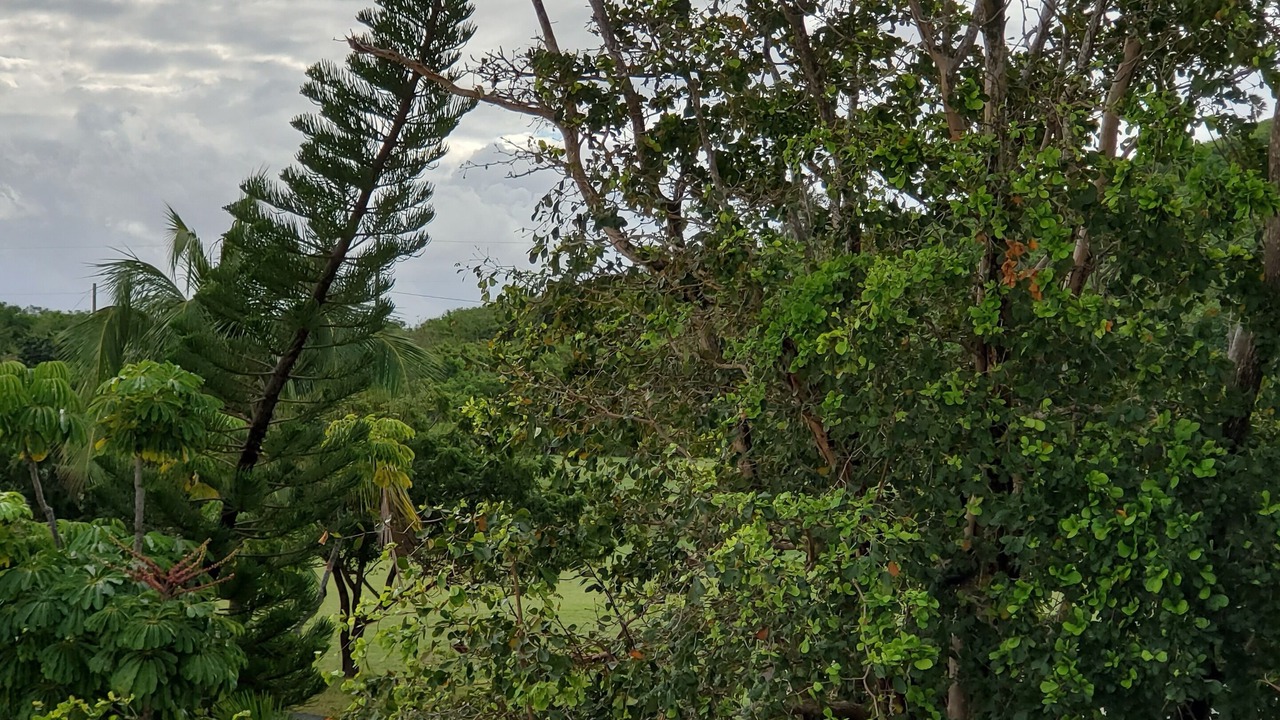 Photo of Others in Estate Salt River