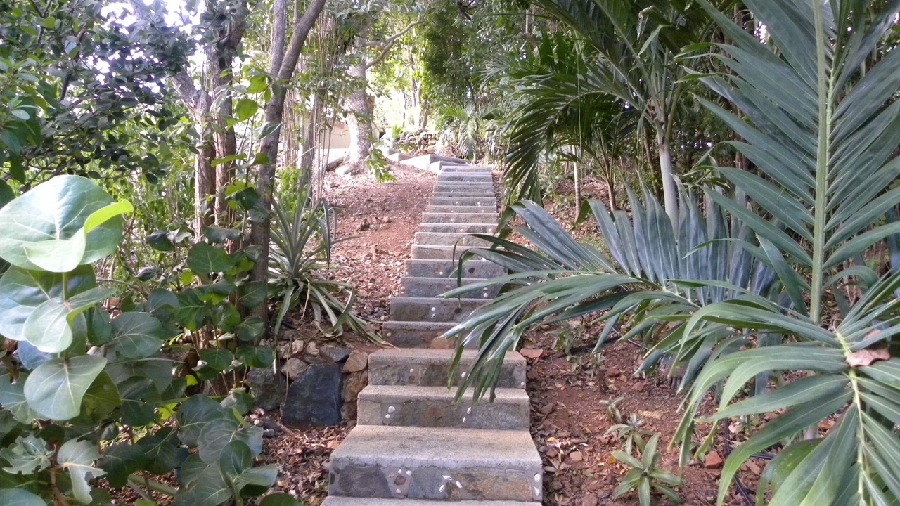 Photo of Outdoor in Fish Bay