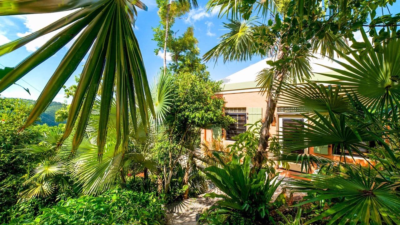 Photo of Outdoor in Estate Carolina