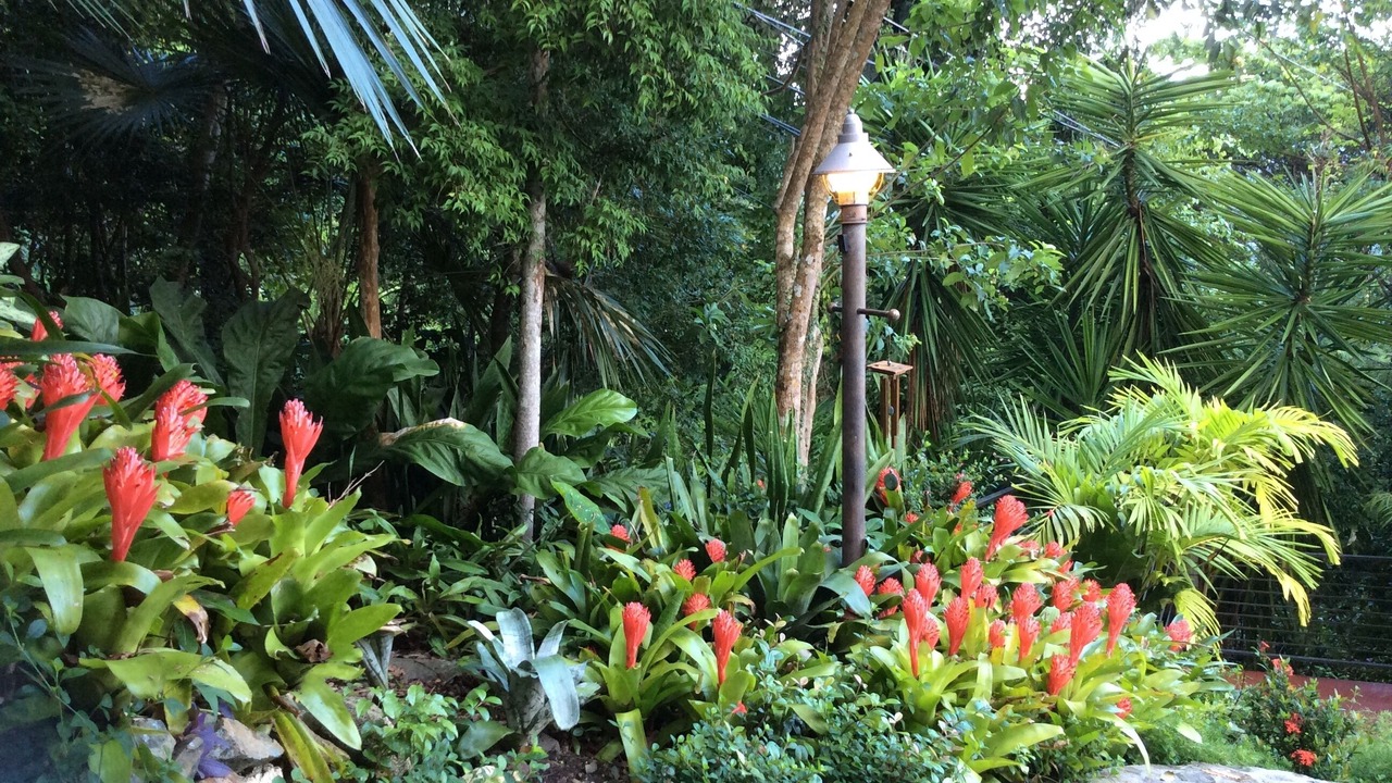 Photo of Outdoor in Estate Carolina