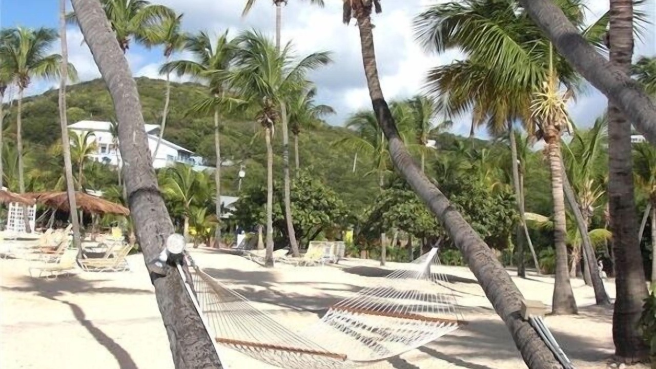 Photo of Others in Bolongo Bay