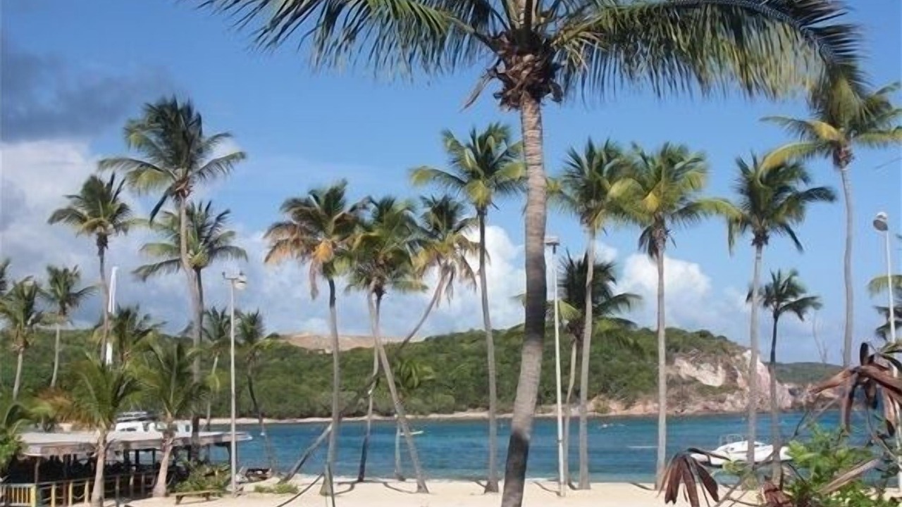 Photo of Others in Bolongo Bay