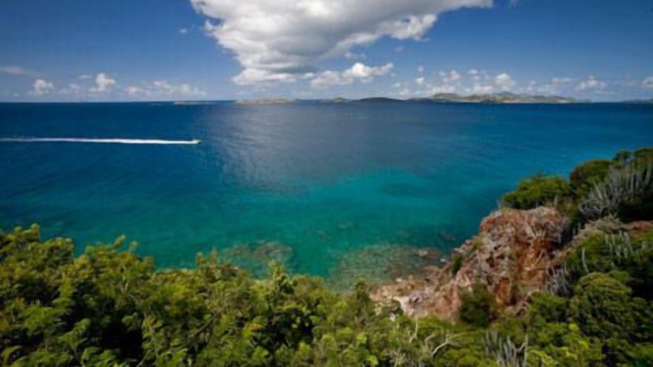 Photo of Others in Great Cruz Bay