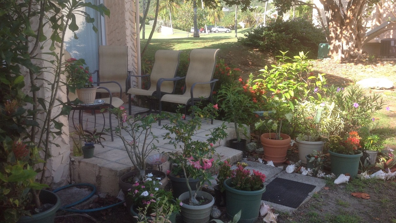 Photo of Outdoor in Estate Salt River