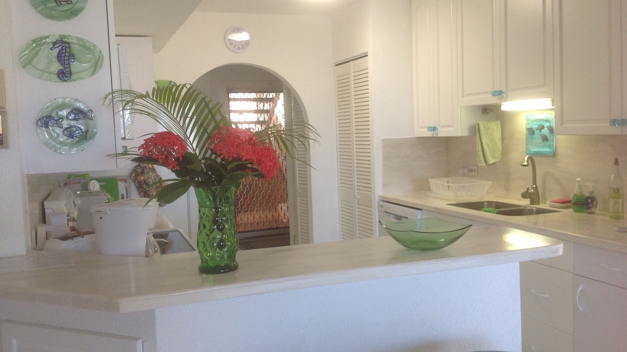 Photo of Kitchen in Estate Salt River