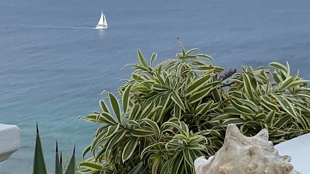 Photo of Others in Green Cay Plantation