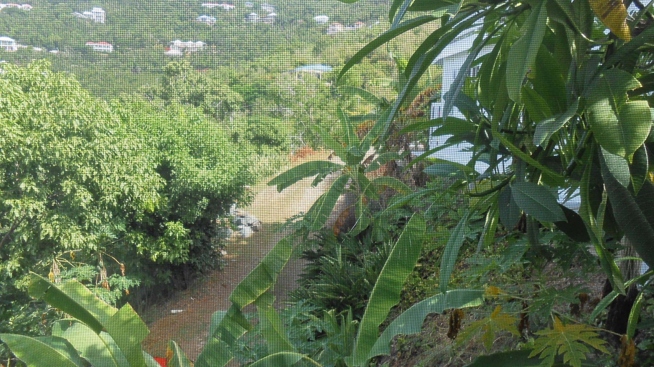 Photo of Others in Monte