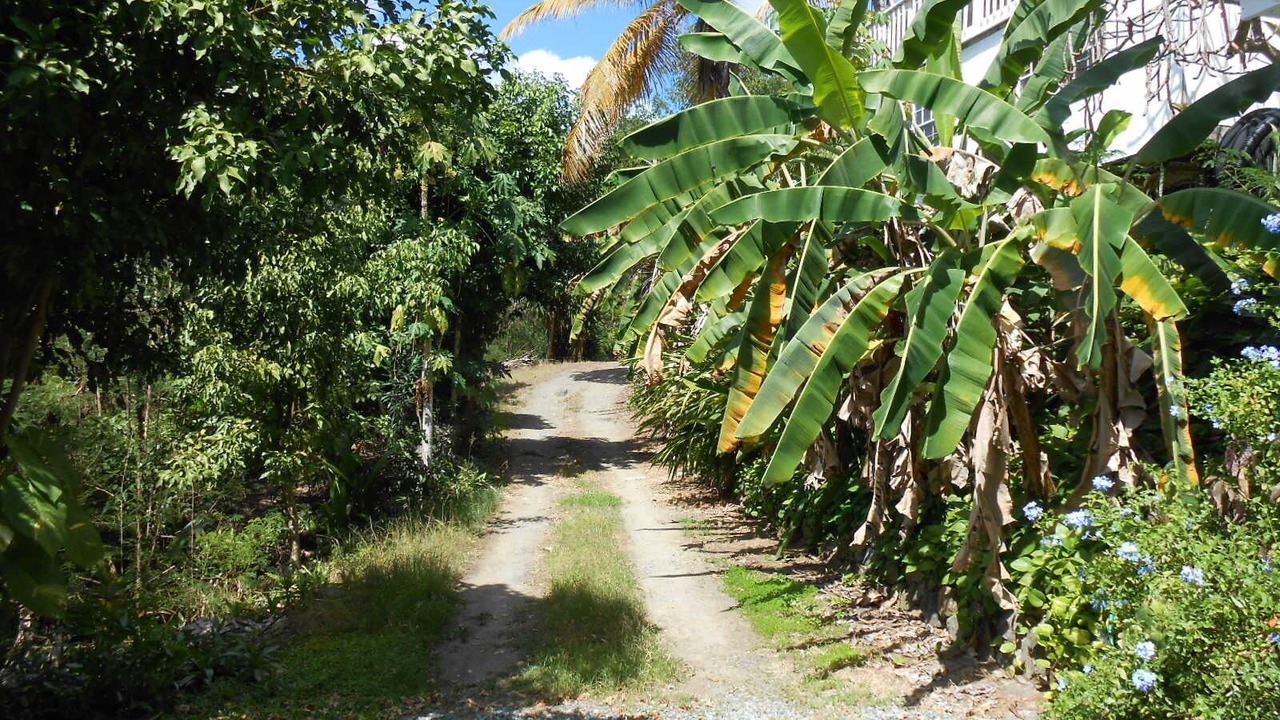 Photo of Others in Monte