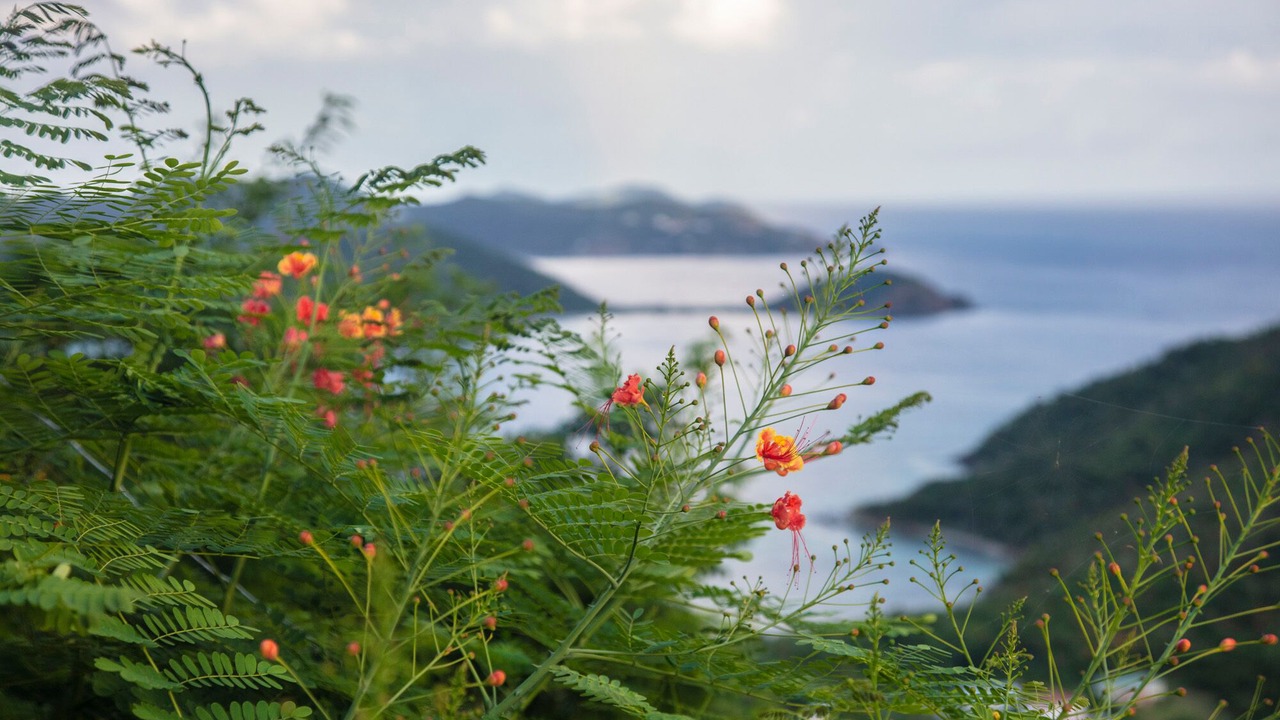 Photo of Outdoor in Seagrape Hill
