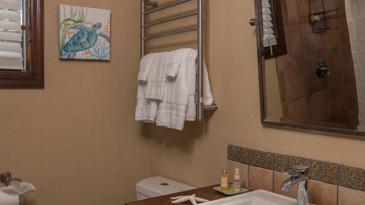 Photo of Bathroom in Bordeaux Mountain