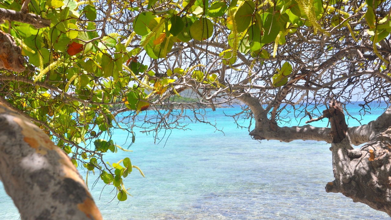 Photo of Others in St. Thomas